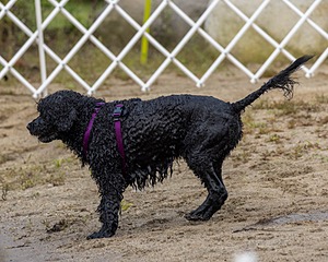 20210912-MWD-0106.jpg