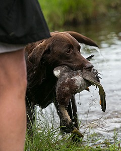 20130713-MHB2-0350.jpg