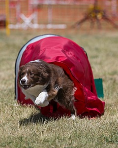 20150613-CCKC-0449.jpg