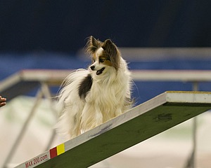 20150321-LEAP-1646.jpg
