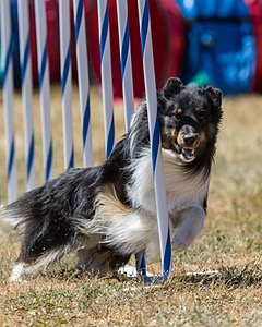 20160618-CCKC-1688.jpg