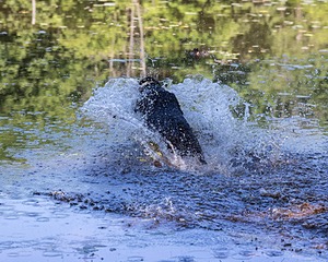 20220604-SHW-2256.jpg