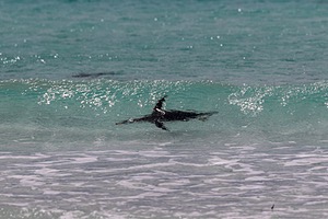 20191208-0574.jpg