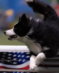 20260221-0146.jpg