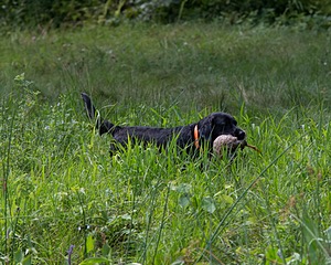 20130810-JHW-0311.jpg