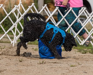20210912-WWD-0189.jpg