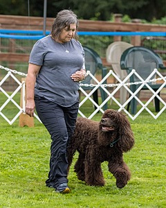 1101 - FINNIBONE'S CUZ MAMA CAN RE DS DJA CGC TKN VHMA (Mama Cass)