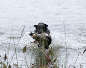 20141004-WCXW-0455.jpg