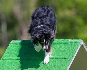 20170521-NEAT-0380.jpg
