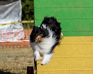 20160619-CCKC-0119.jpg