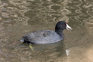 20151206-2572.jpg
