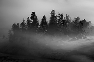 20220209-0571.jpg