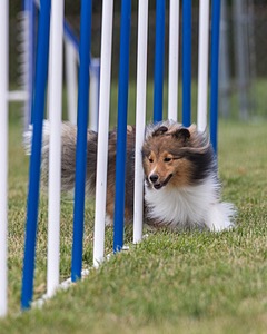 20200819-2063.jpg
