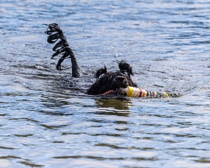 Penny Toby-Ann