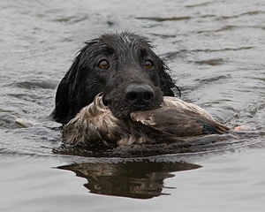 20080531-HRW-0964.jpg