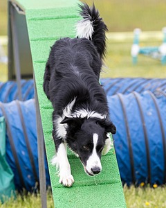 20160515-NEAT-1081.jpg