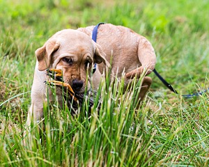 20160605-C-0034.jpg