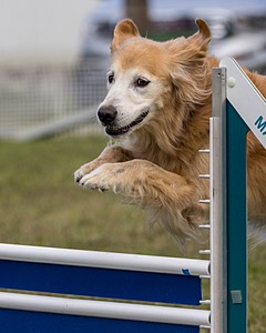 20230917-PVKC-2807.jpg