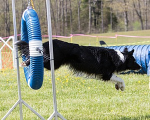20160514-NEAT-1063.jpg