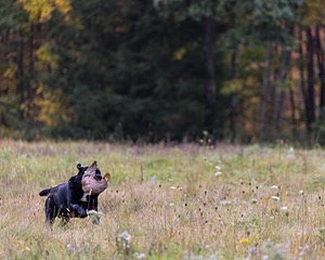 20211010-WCL-0044.jpg