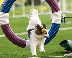 20150322-LEAP-0149.jpg