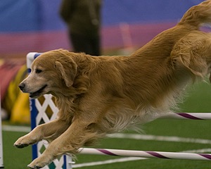 20150321-LEAP-0326.jpg