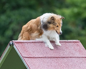 20200819-1983.jpg