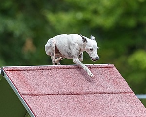 20200819-1802.jpg