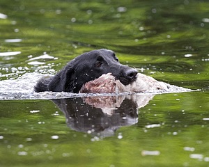 20130713-MHB2-0175.jpg