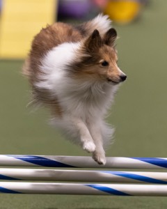 20260221-0458.jpg