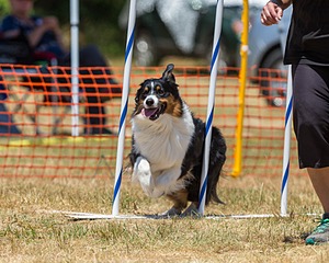 20160619-CCKC-1015.jpg