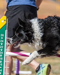 20160619-CCKC-1801.jpg