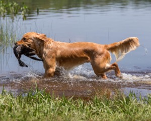 Mattie McKinney