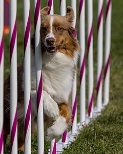 20230916-PVKC-1274.jpg
