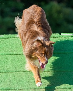 20160618-CCKC-2457.jpg
