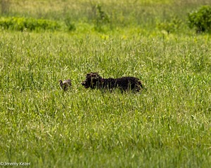 20220613-WD-0187.jpg