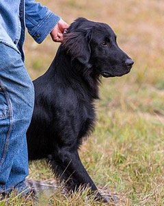 Jake