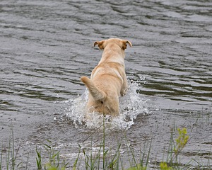 20080531-HRW-0367.jpg