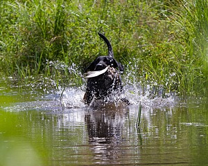 20130714-MHB2-0111.jpg