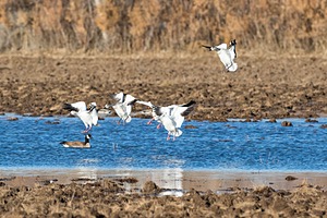 20151206-3534.jpg