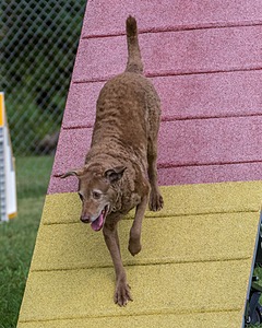 Makai Palmer