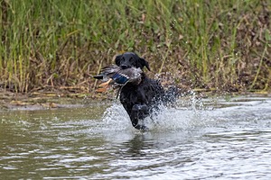 20161008-WCXW-0179-2.jpg