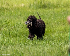20220613-WD-0462.jpg