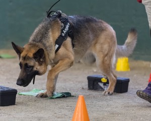 20260718-NSKC-0623.jpg