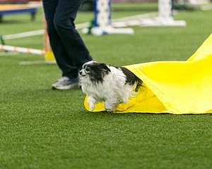 20150322-LEAP-0018.jpg