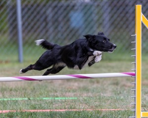 20200819-1902.jpg