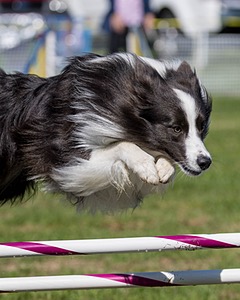 20220917-PVKC-1272.jpg