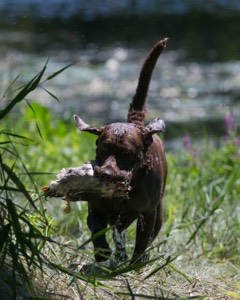 20130811-SHW-0009.jpg