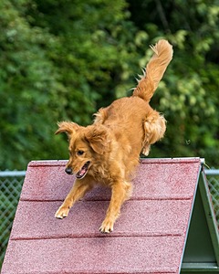 20200819-0392.jpg