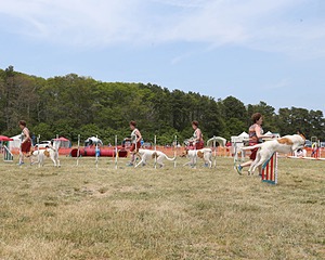 20150612-CCKCMC-0101.jpg